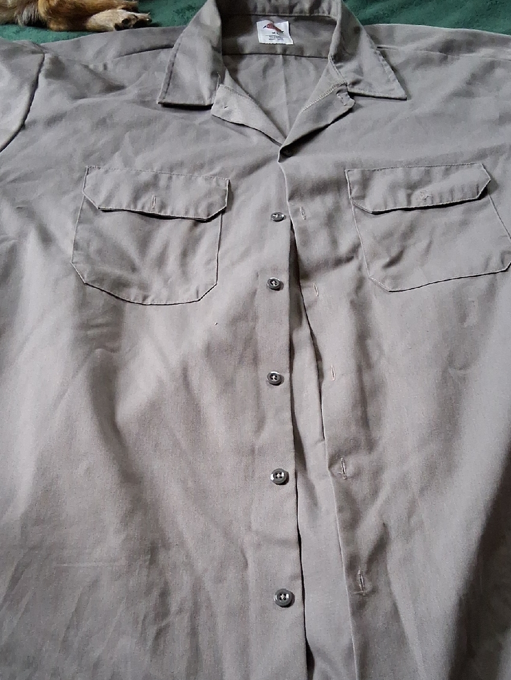 Dickies Men's Button-Down Work Shirt in Taupe Gray